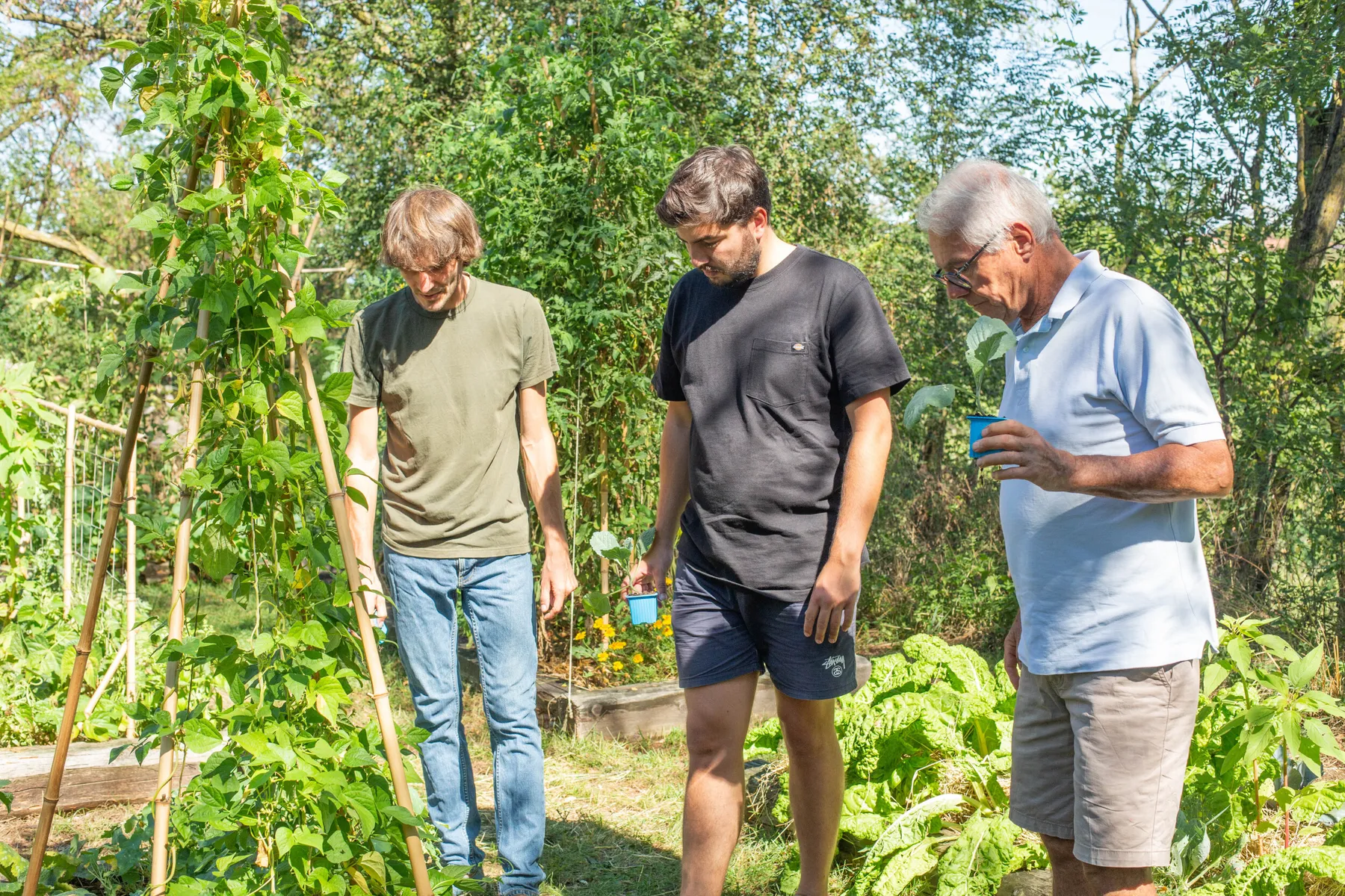 Sensibilisez votre équipe à la permaculture - Afbeelding nr. 1 - Wecandoo