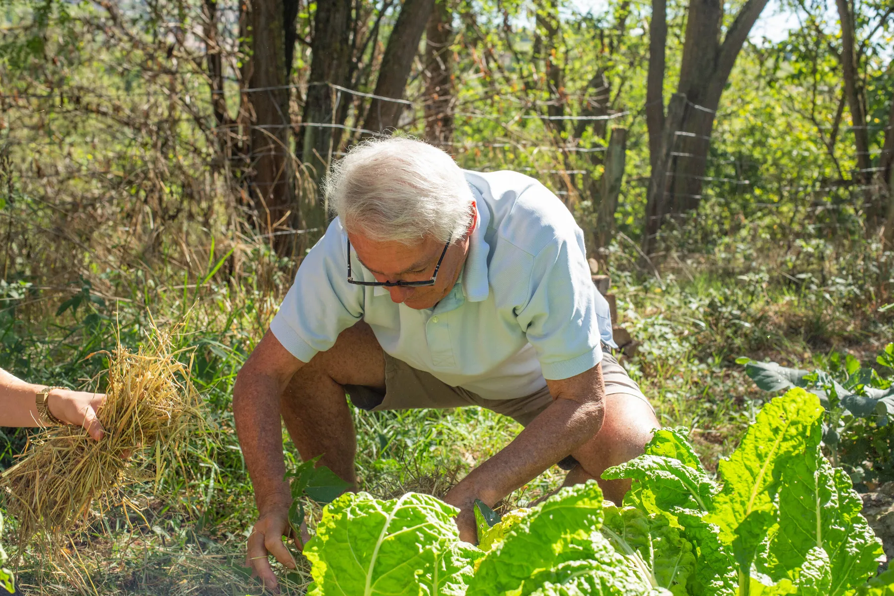 Cultivez votre potager en permaculture - Image n°1 - Wecandoo