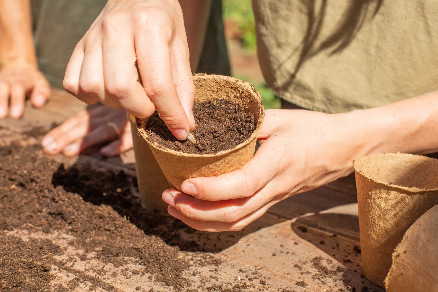 Cultivez votre potager en permaculture - Image n°3 - Wecandoo