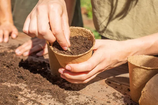 Wecandoo - Cultivez votre potager en permaculture
