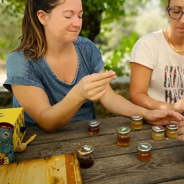 Initiez-vous à l'apiculture en groupe - Image n°3 - Wecandoo