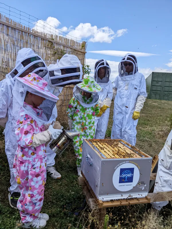 Découvrez l'apiculture et dégustez du miel et des boissons au miel - Image n°3 - Wecandoo