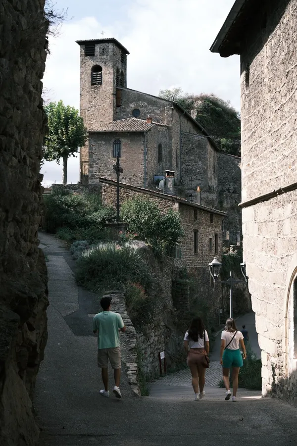 Découvrez les plantes sauvages comestibles le temps d'une balade - Image n°4 - Wecandoo