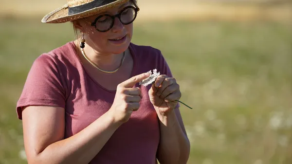 Découvrez les plantes sauvages comestibles le temps d'une balade - Image n°3 - Wecandoo