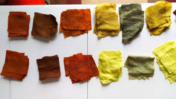 Découvrez la teinture végétale le temps d'une journée - Image n°2 - Wecandoo