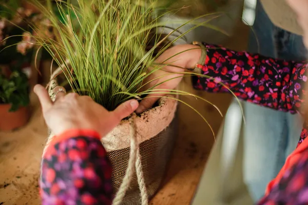 Composez votre jardinière sur mesure de plantes adaptées à votre mode de vie - Image n°4 - Wecandoo