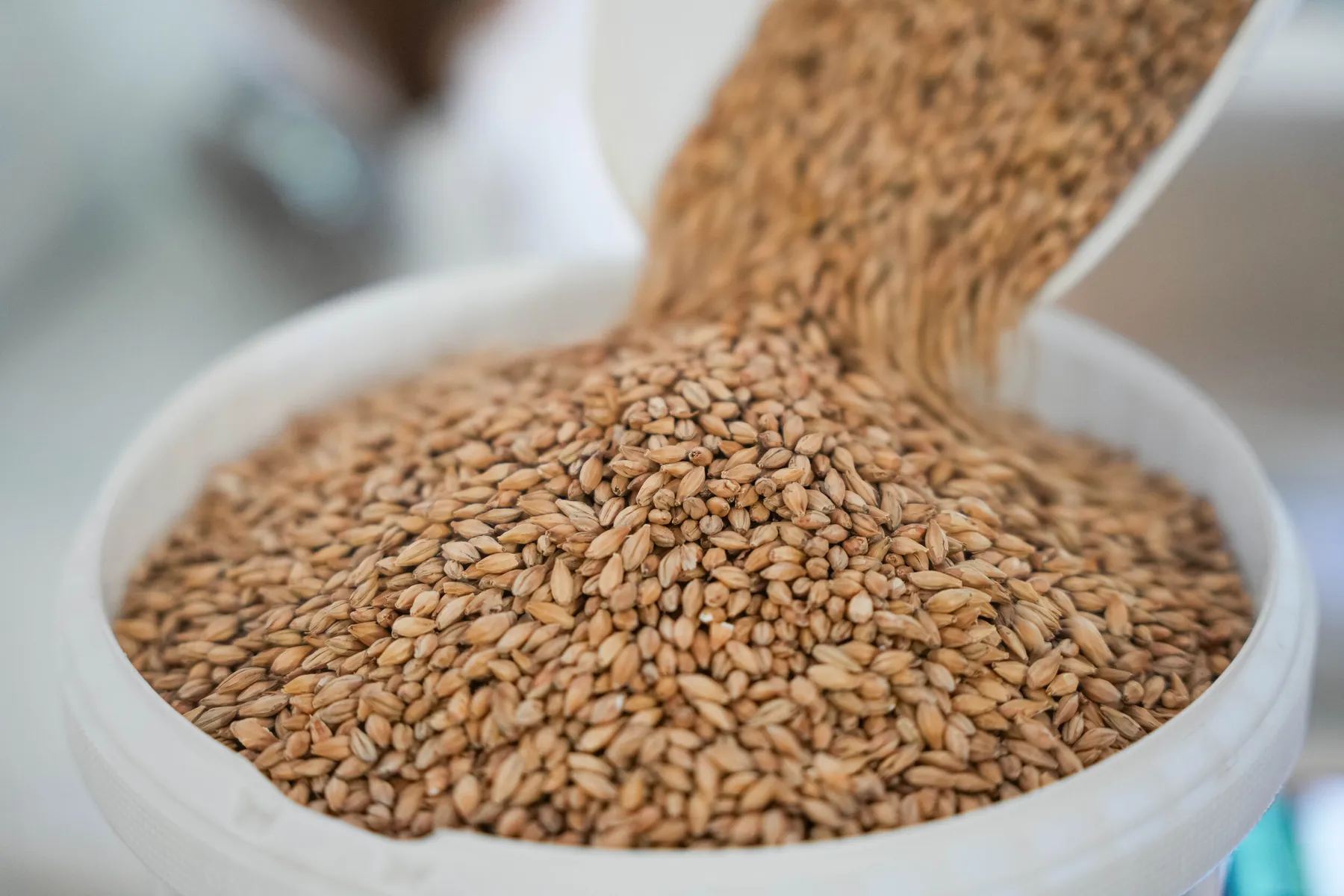 Brassez votre bière en duo - Image n°2 - Wecandoo