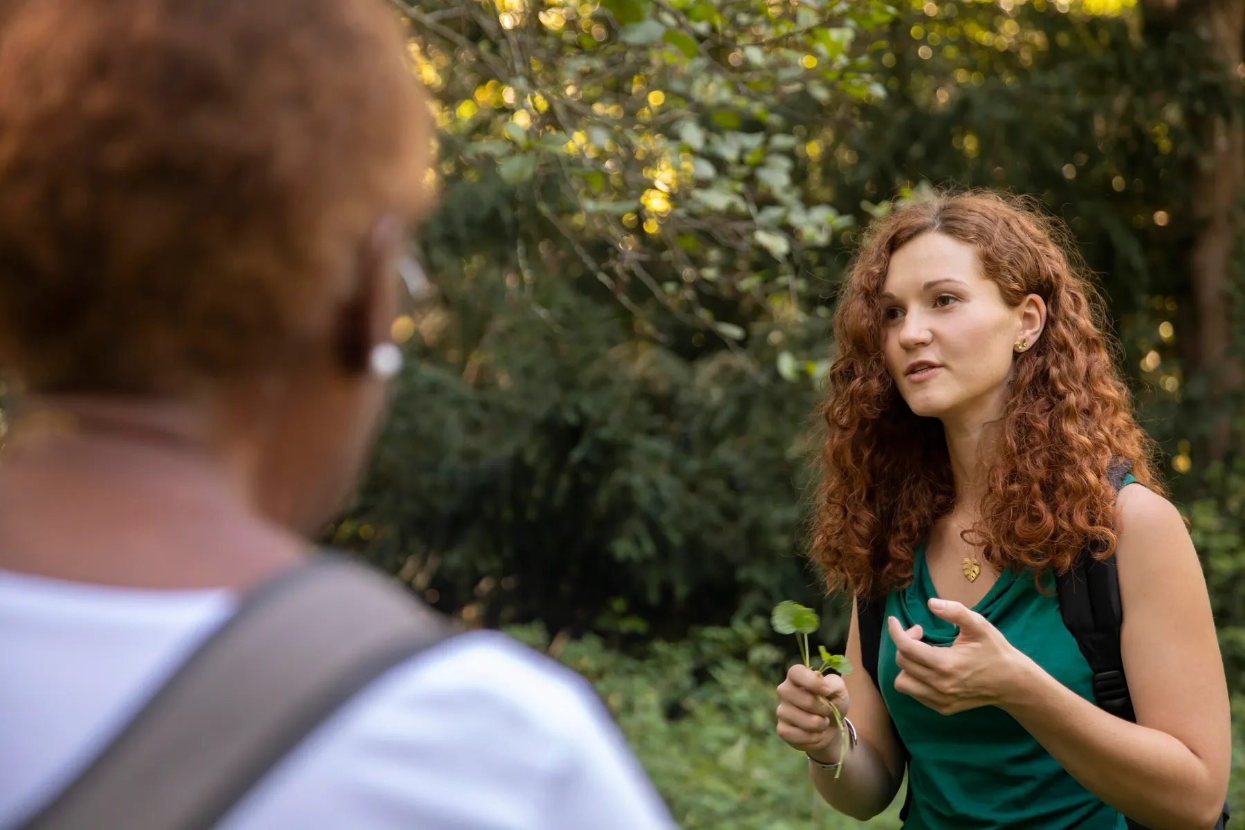 Rentrez dans la peau d'une herboriste pendant une journée - Image n°1 - Wecandoo