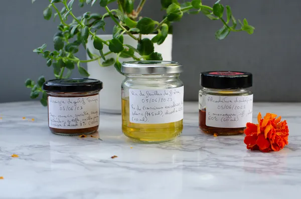 Rentrez dans la peau d'une herboriste pendant une journée - Image n°4 - Wecandoo