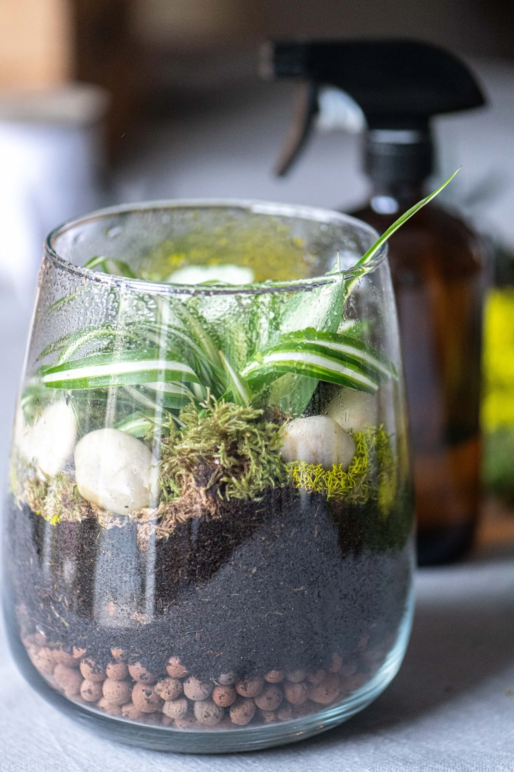 Réalisez votre terrarium de taille M - Image n°5 - Wecandoo