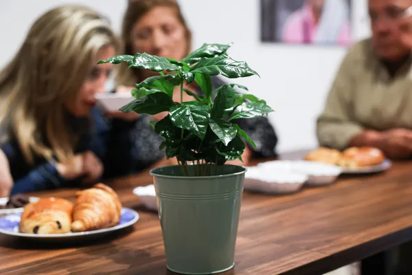 Torréfiez votre propre café - Image n°2 - Wecandoo