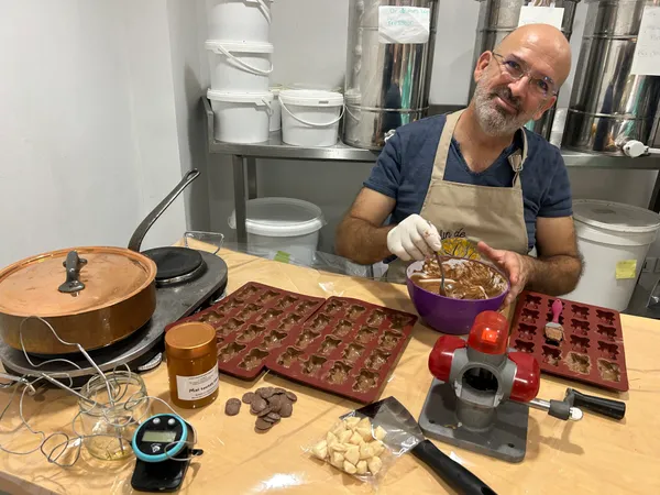 Réalisez vos sucettes, berlingots et ours à la guimauve avec du miel d'apiculteur - Image n°2 - Wecandoo