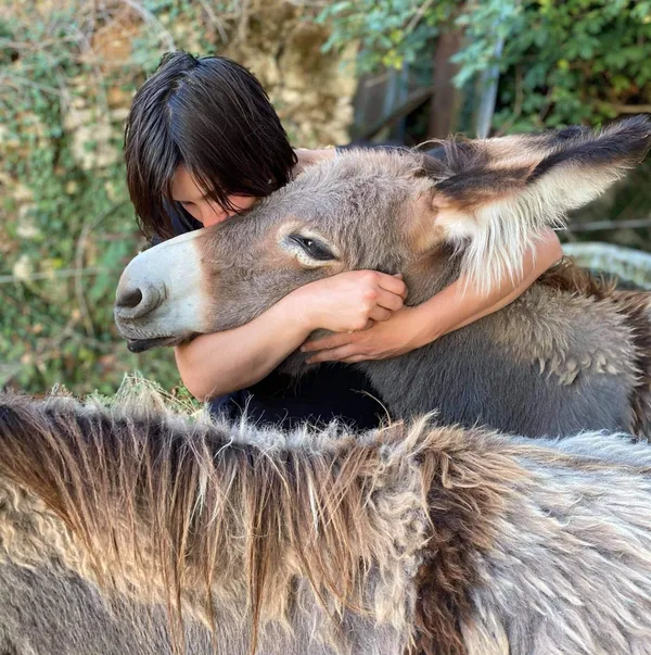 Partez à la découverte d'une ferme d'ânes et réalisez votre savon au lait d'ânesse (500 g) - Image n°4 - Wecandoo