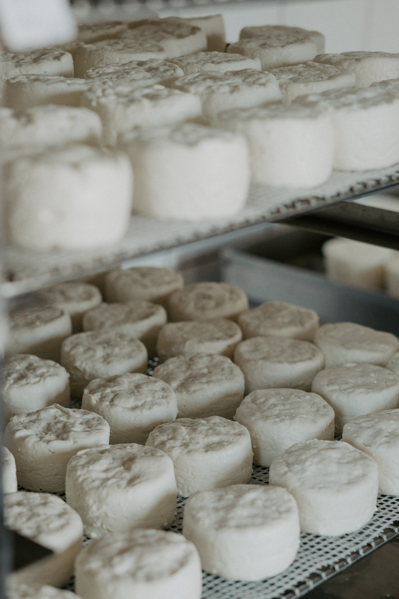 Wecandoo - Vivez la vie d'un fermier, fromager et viticulteur sur une journée - Image n°3