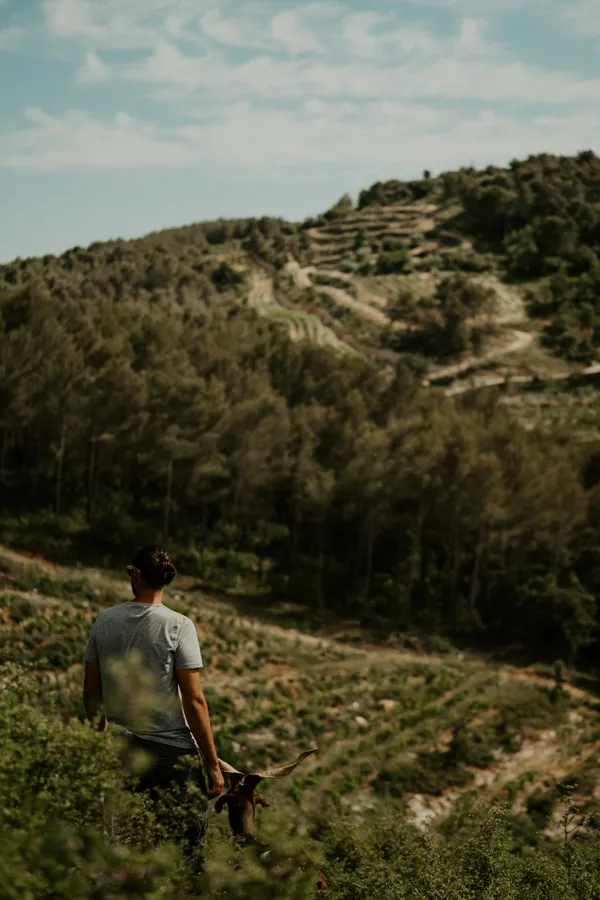 Vivez la vie d'un fermier, fromager et viticulteur sur une journée - Image n°2 - Wecandoo