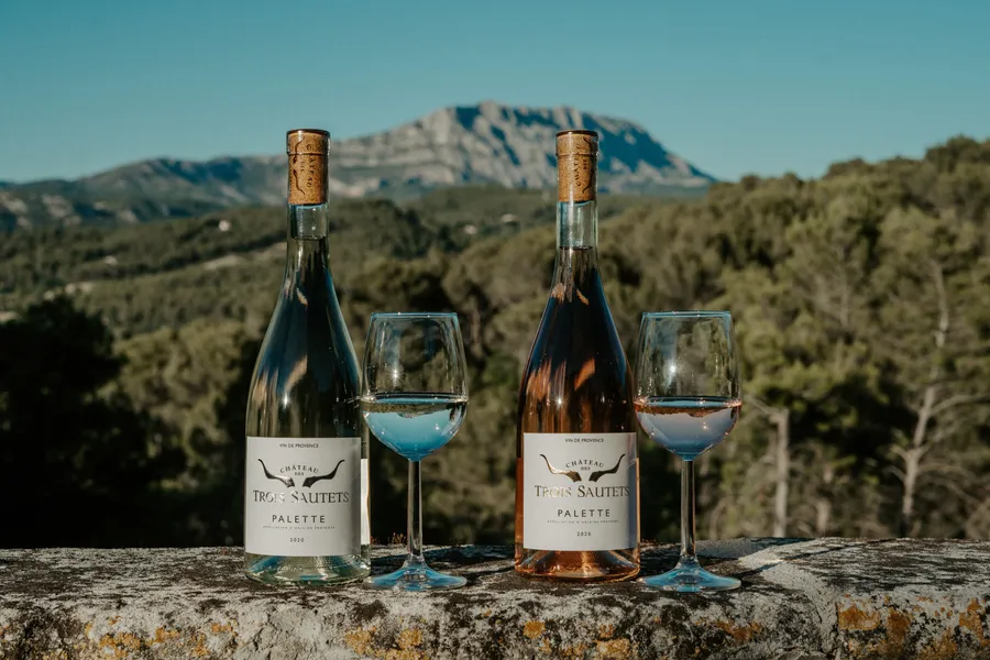 Visitez un vignoble et une exploitation caprine et dégustez les produits du domaine avec Nicolas et son équipe - Image n°1 - Wecandoo