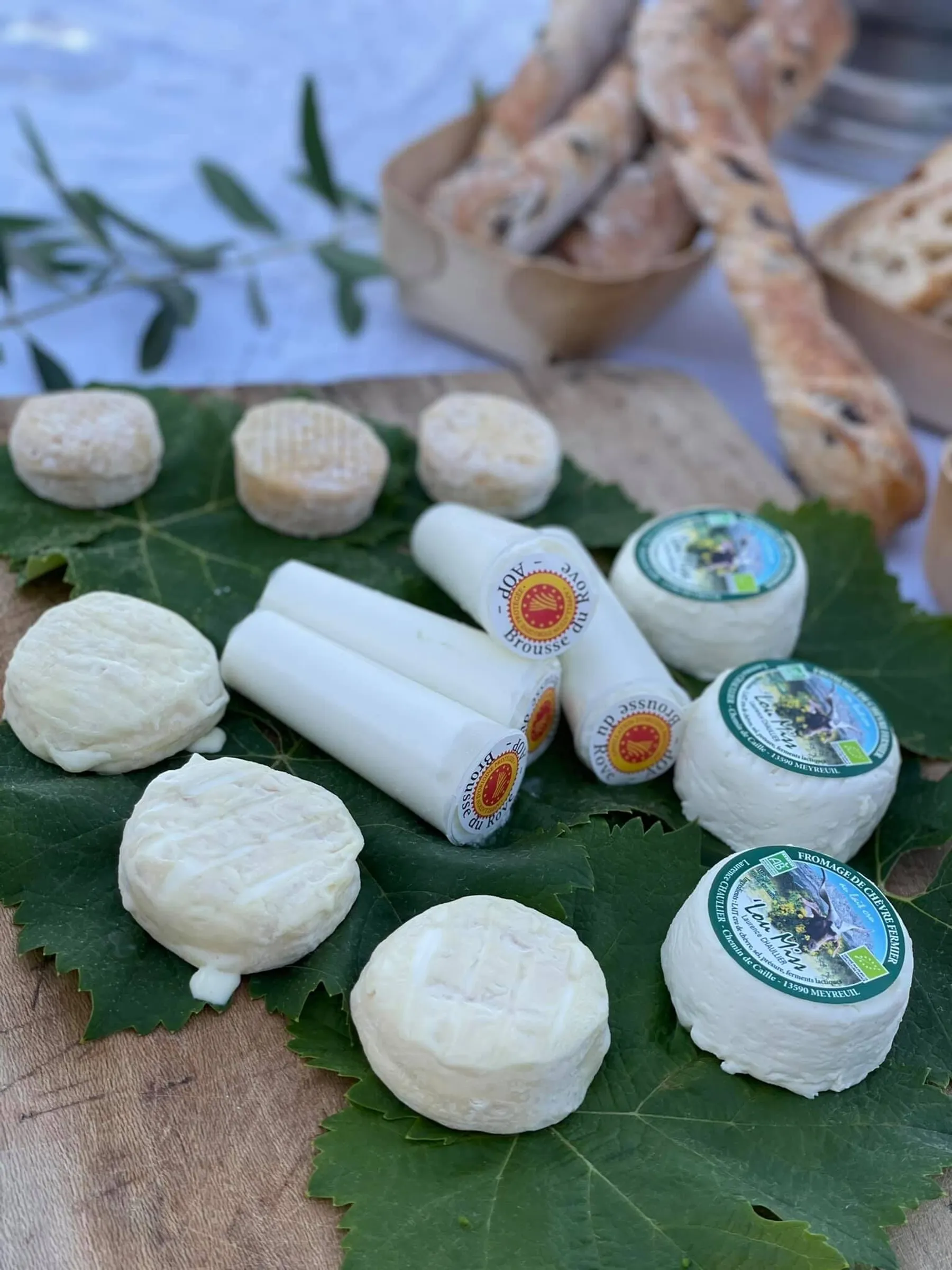 Visitez un vignoble et une exploitation caprine et dégustez les produits du domaine avec Nicolas et son équipe - Image n°5 - Wecandoo