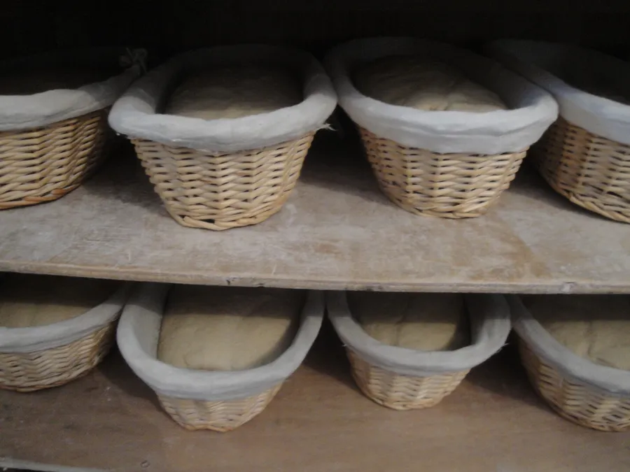 Devenez paysan-boulanger le temps d'une journée et fabriquez vos pains au levain - Image n°1 - Wecandoo