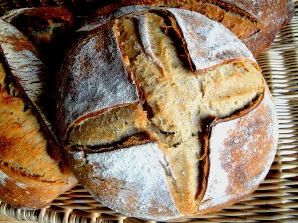 Devenez paysan-boulanger le temps d'une journée et fabriquez vos pains au levain - Image n°3 - Wecandoo