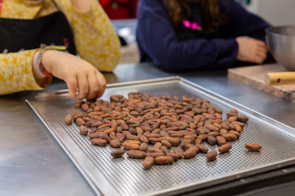 Wecandoo - Réalisez vos créations chocolatées dans votre lieu
