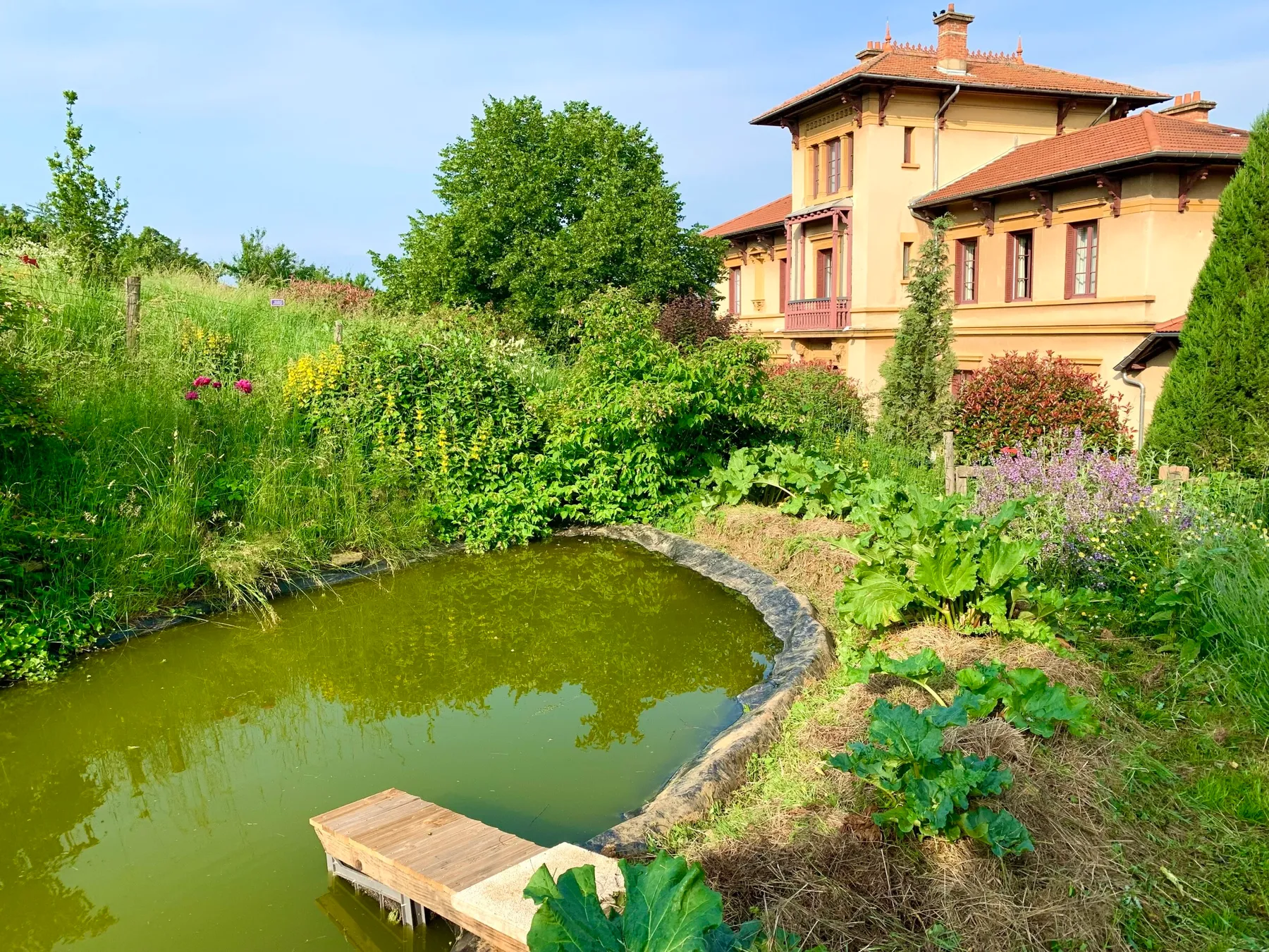 Initiez-vous à la permaculture sur 2 jours - Image n°4 - Wecandoo