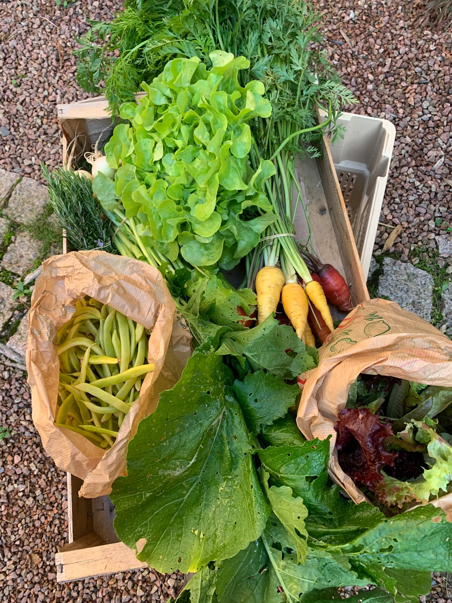 Initiez-vous à la permaculture sur 2 jours - Image n°5 - Wecandoo