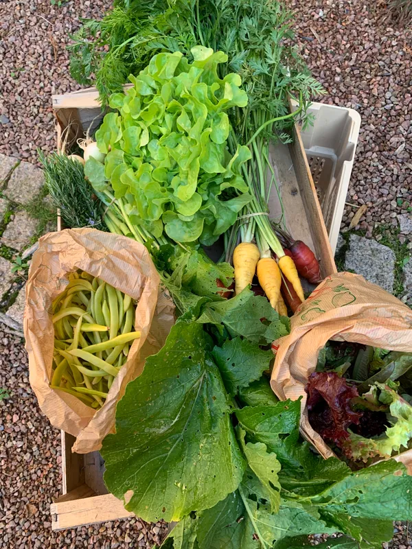 Initiez-vous à la permaculture sur 2 jours - Image n°5 - Wecandoo