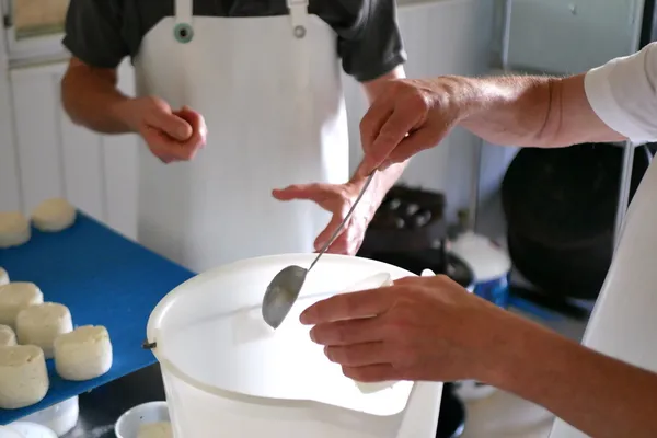 Fabriquez votre fromage fermier bio de brebis - Image n°4 - Wecandoo