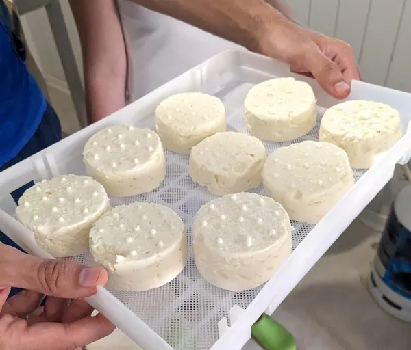 Immergez-vous dans le quotidien d'un fermier fromager - 2J - Image n°2 - Wecandoo