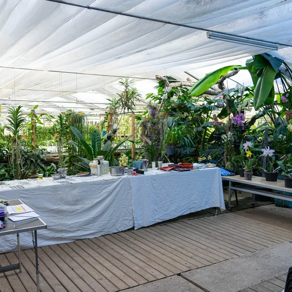 Atelier : 80 Chemin De Barbossi