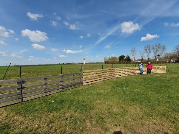 Devenez berger le temps d'une journée - Image n°2 - Wecandoo