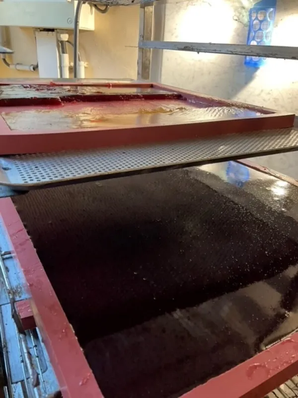 Réalisez votre pâte de fruit artisanale - Image n°4 - Wecandoo