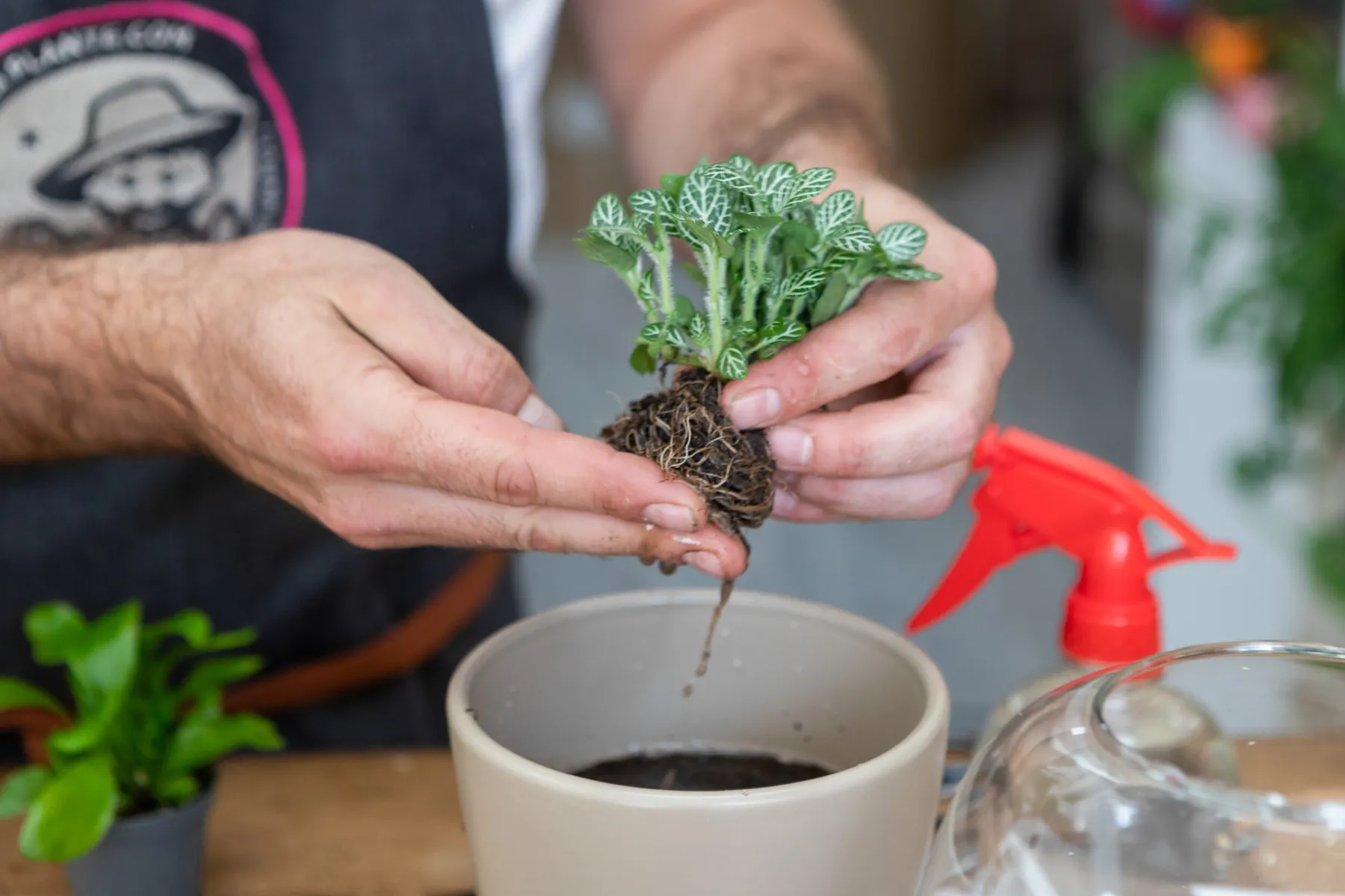 Éblouissez votre équipe et réalisez votre terrarium taille M - Afbeelding nr. 2 - Wecandoo