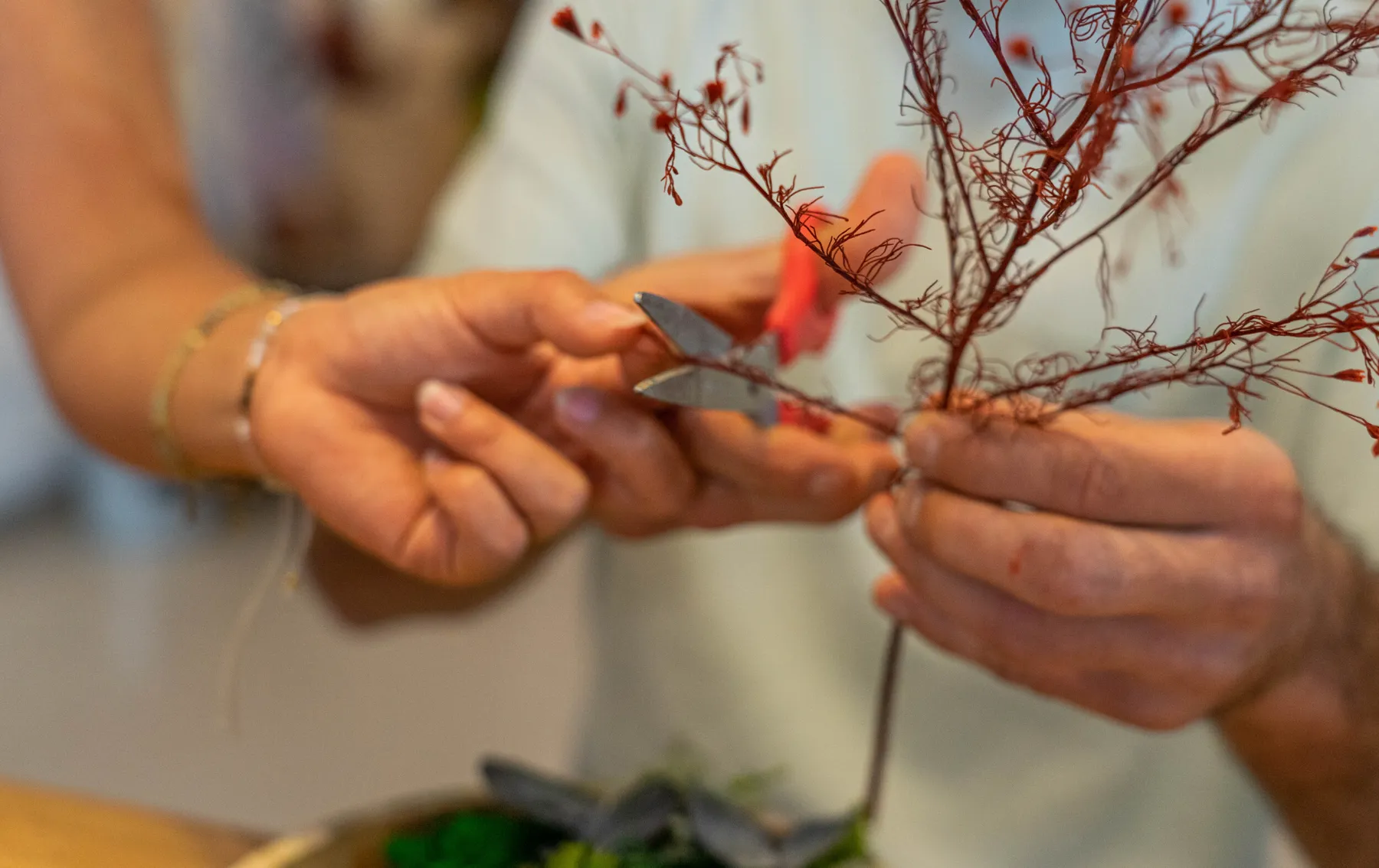 Créez votre bouquet de fleurs séchées - Image n°3 - Wecandoo
