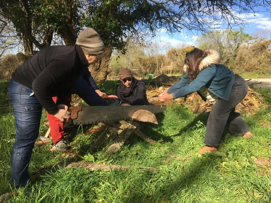 Découvrez l'art de la sculpture sur bois vert dans le Morbihan - Image n°1 - Wecandoo