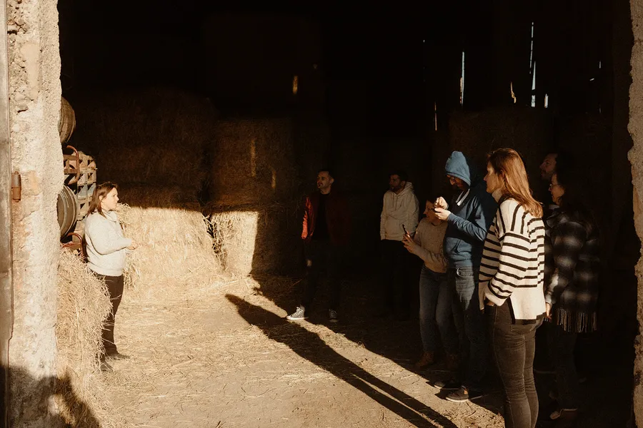 Initiez-vous au whisky lors d'une immersion en distillerie - Afbeelding nr. 1 - Wecandoo