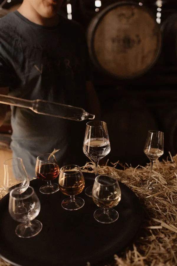 Initiez-vous au whisky lors d'une immersion en distillerie - Afbeelding nr. 2 - Wecandoo