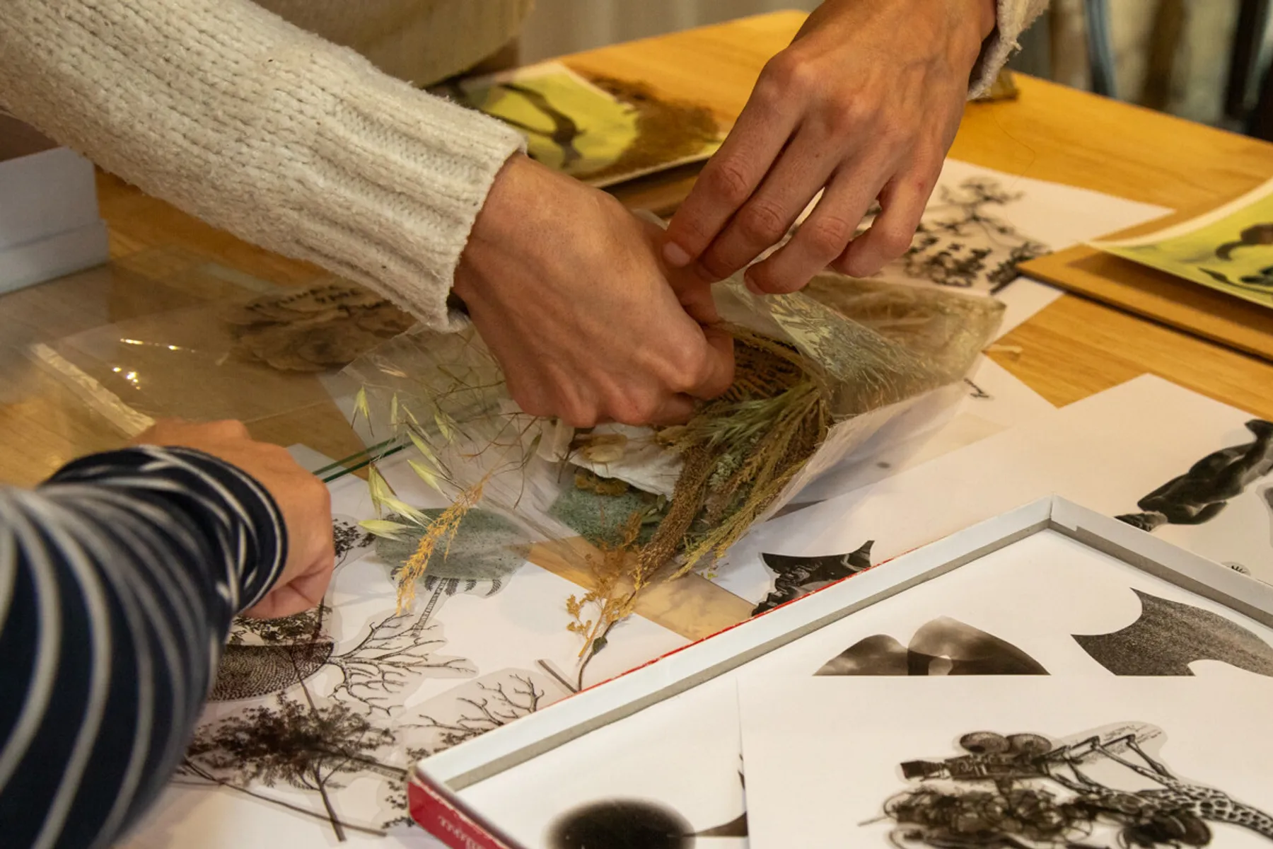 Initiez-vous au cyanotype - Image n°3 - Wecandoo