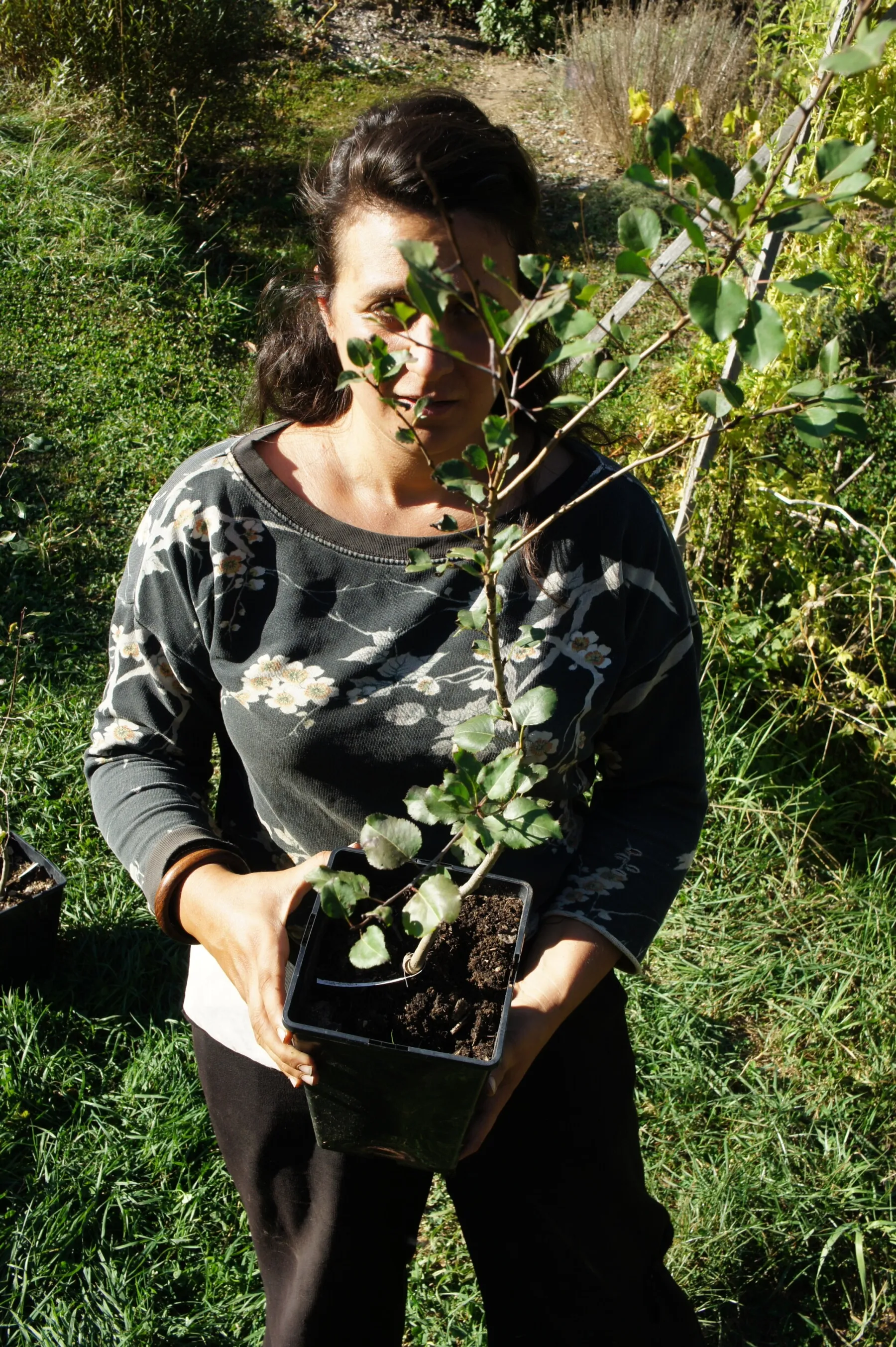 Prenez soin de votre arbre fruitier et greffez-le sur une journée - Image n°4 - Wecandoo