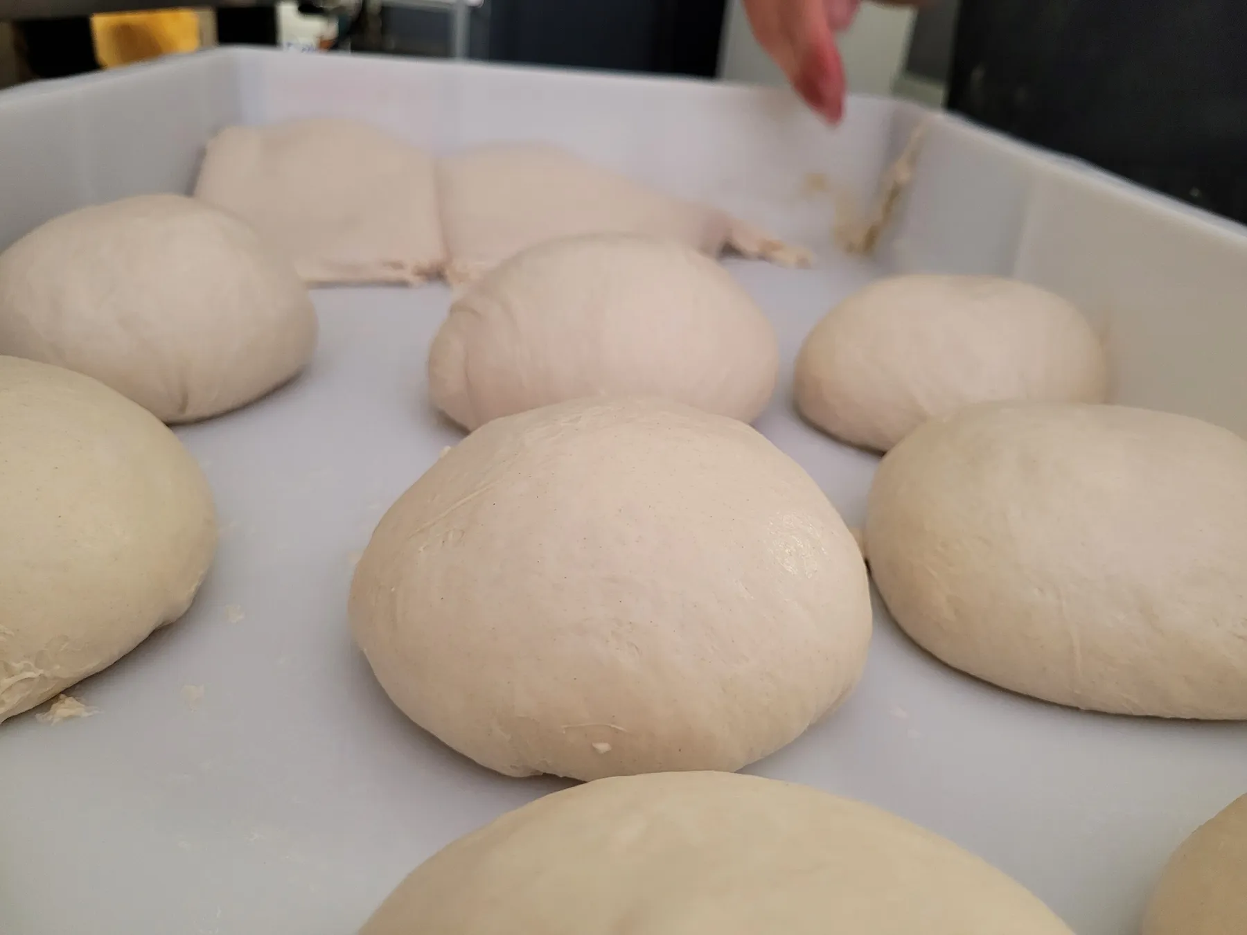 Réalisez votre pizza artisanale avec Rémi - Image n°1 - Wecandoo