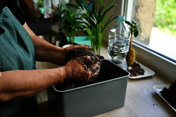 Motivez votre équipe et créez votre kokedama - Afbeelding nr. 2 - Wecandoo