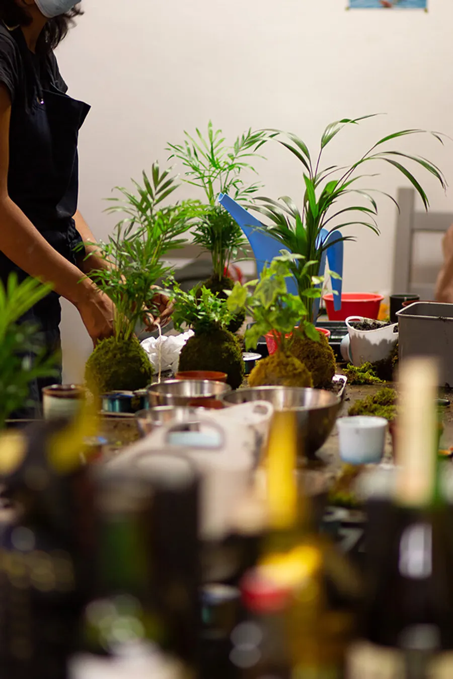 Motivez votre équipe et créez votre kokedama - Afbeelding nr. 1 - Wecandoo