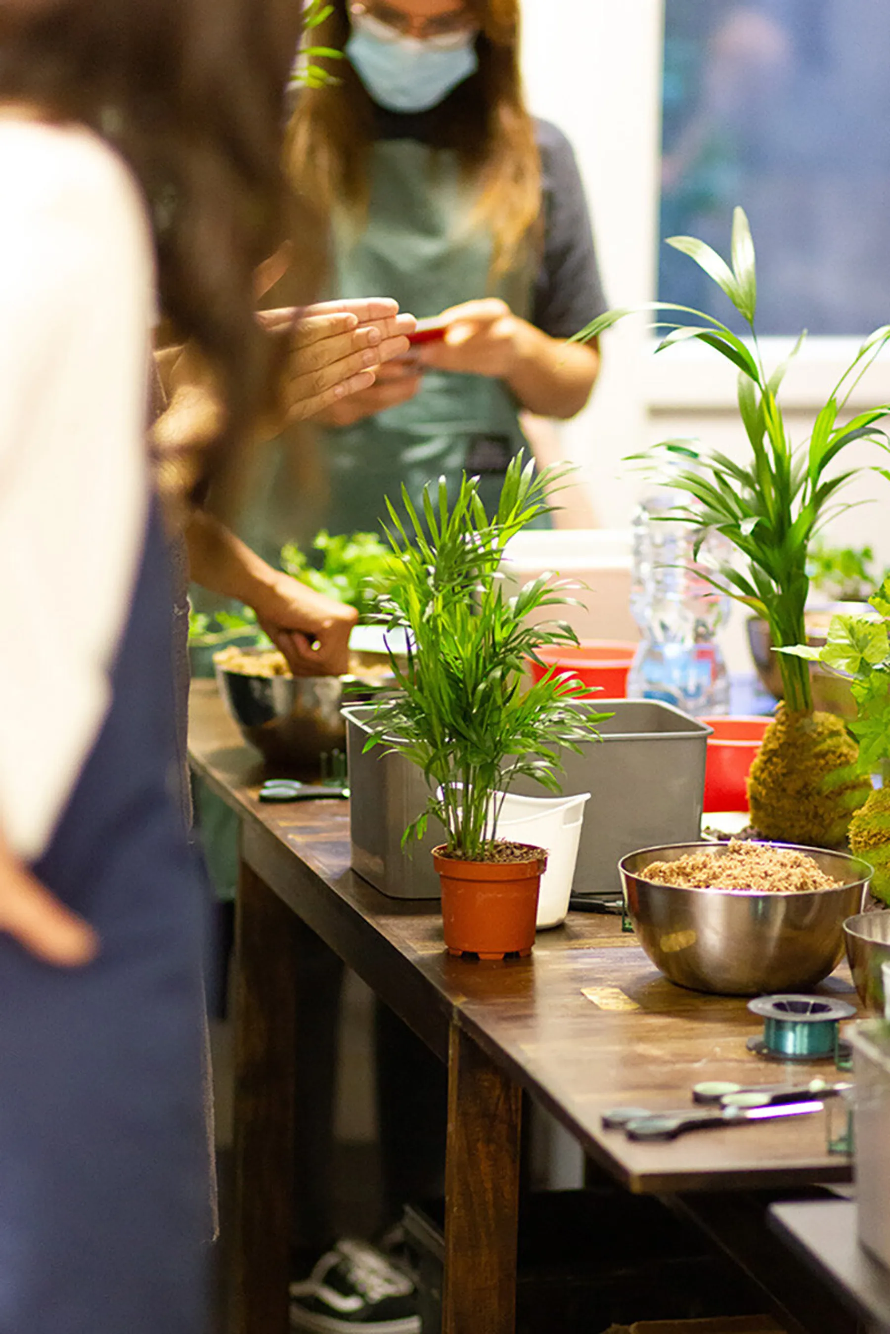 Motivez votre équipe et créez votre kokedama - Image n°3 - Wecandoo