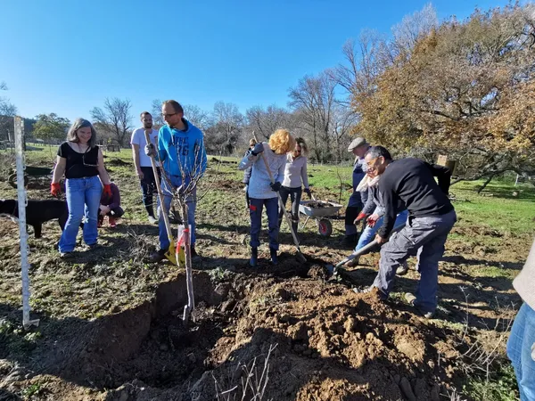 Initiez-vous à la permaculture sur une journée - Image n°4 - Wecandoo
