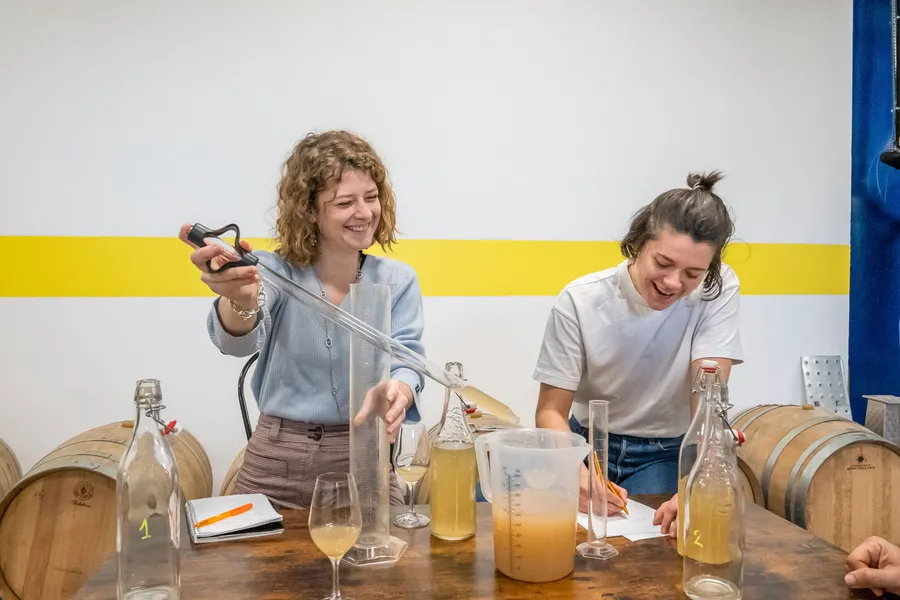 Enchantez votre équipe et assemblez votre bouteille de vin rouge ou blanc avec Antoine et Fady - Image n°1 - Wecandoo