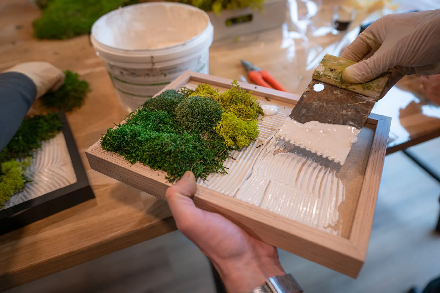 Créez votre tableau en végétaux stabilisés - Image n°4 - Wecandoo