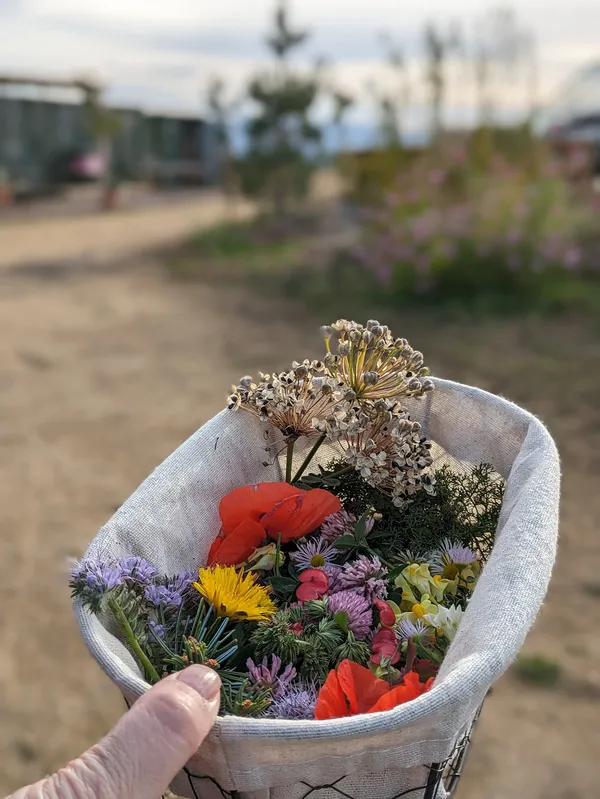 Créez une bougie et des petits objets en cire d'abeille - Afbeelding nr. 2 - Wecandoo