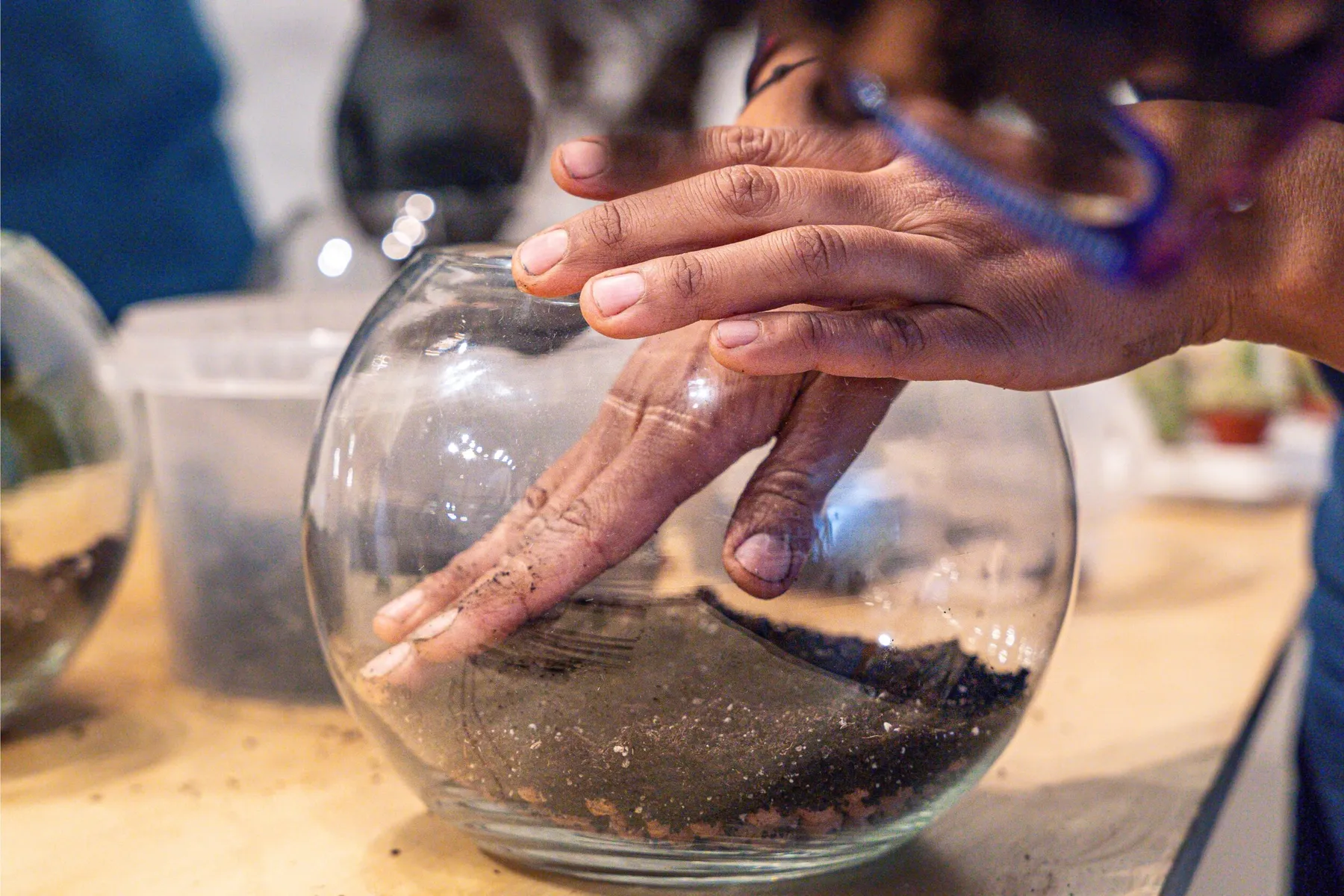 Réalisez votre terrarium de cactus avec Aude - Image n°4 - Wecandoo