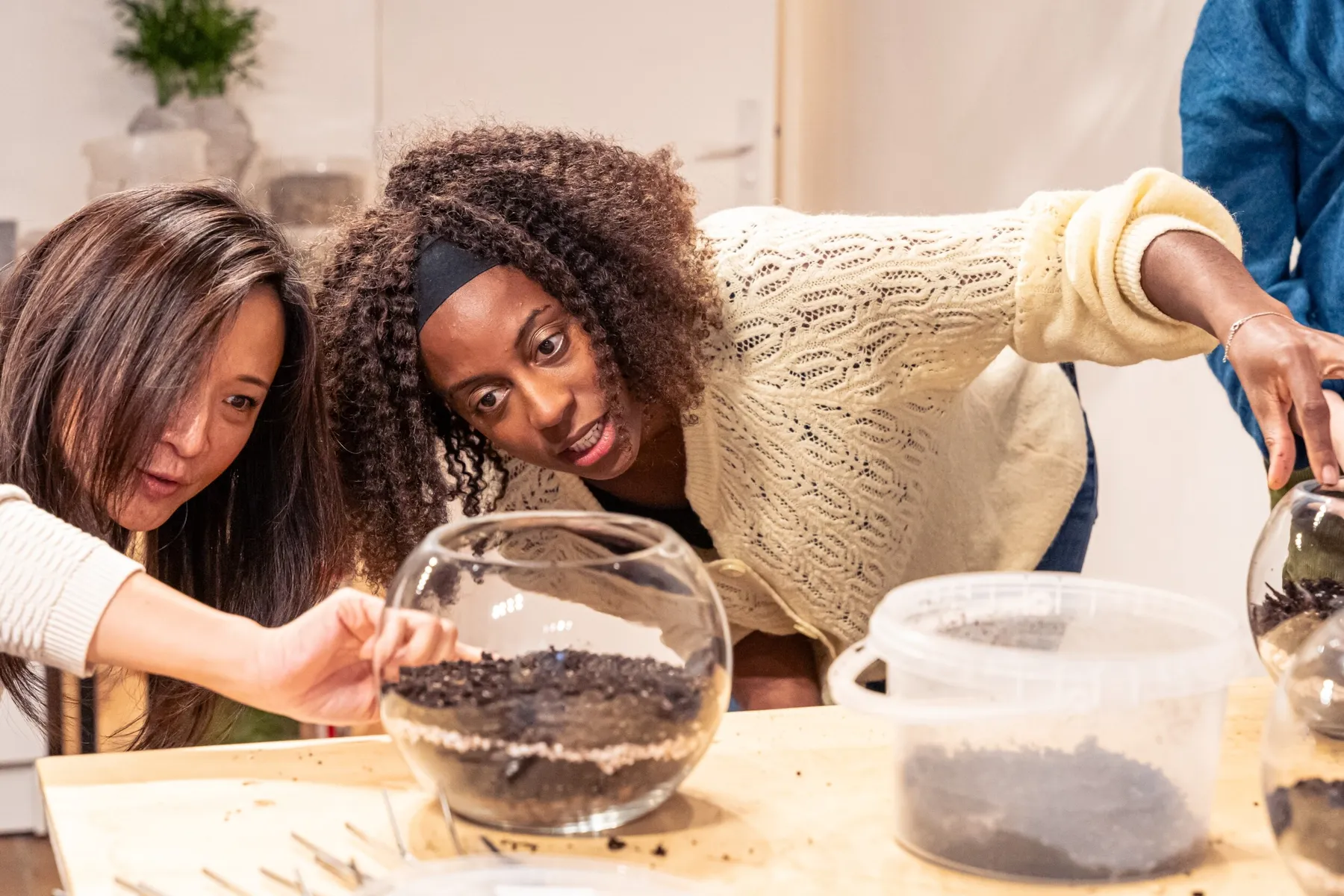 Réalisez votre terrarium de cactus avec Aude - Image n°2 - Wecandoo