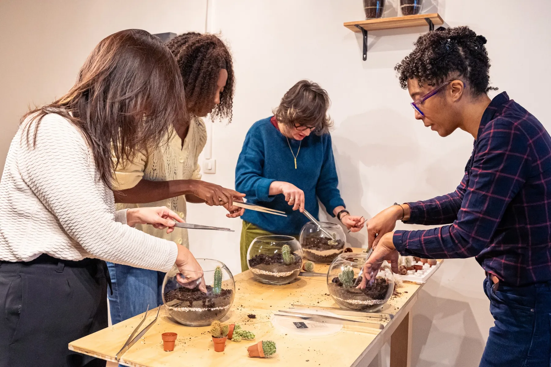 Réalisez votre terrarium de cactus avec Aude - Image n°3 - Wecandoo